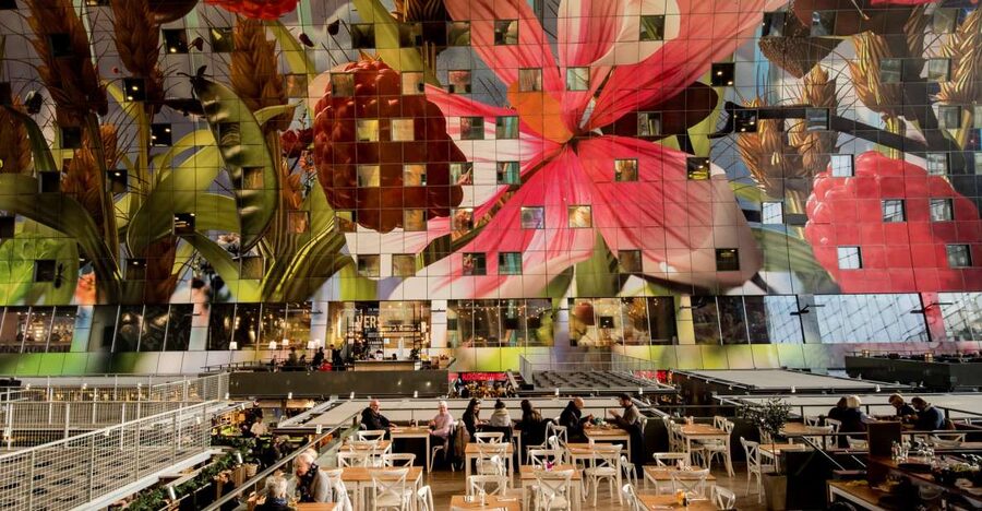 Rotterdam: 2-Hour Guided Walking Tour - Key things to love about this Rotterdam walk