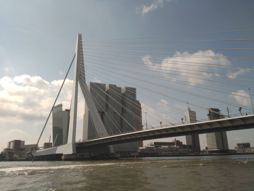 Rotterdam Architecture: Centre and South Bank with watertaxi - Why Rotterdam’s Architecture Tour Works So Well