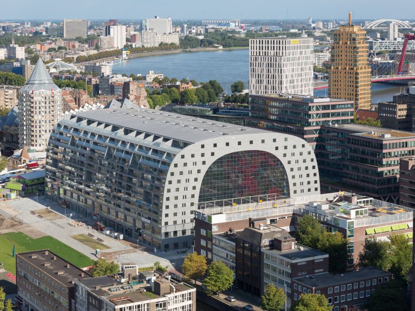 Rotterdam: Architecture Highlights Tour including the Depot - Markthal (MVRDV): walking through housing and a food scene concept