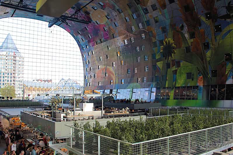 Rotterdam: City Center Walking Tour - Key highlights worth your time