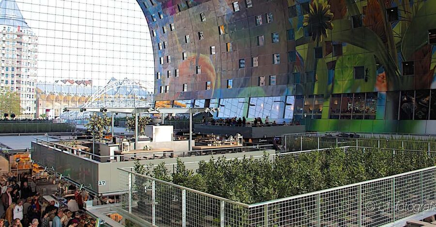 Rotterdam: City Center Walking Tour - From Stationsplein to Central Station: getting your bearings fast