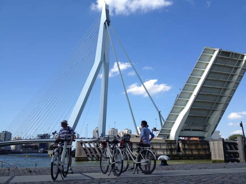 Rotterdam: City Highlights Guided Bike Tour - How the Ride Feels: Pace, Group Size, and Dutch Cycling Confidence
