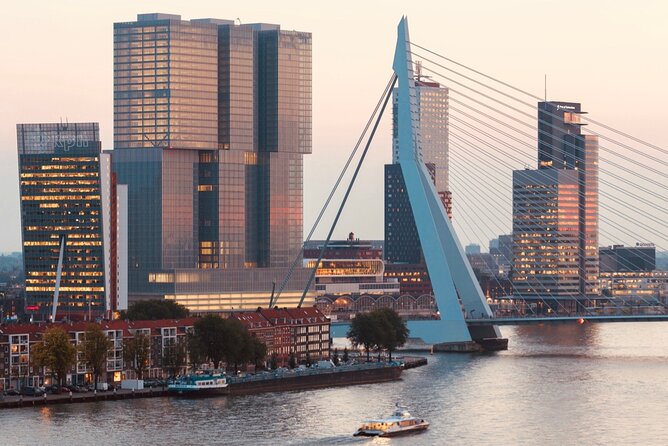 Rotterdam, Delft and The Hague Small Group Tour from Amsterdam - Who this tour suits best, and who should think twice
