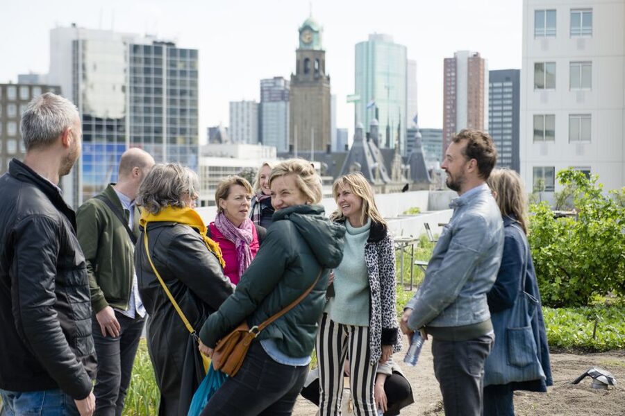 Rotterdam: Exclusive Rooftop Tour with 360˚ views - Steps, Rain, and the Comfort Stuff You Should Know