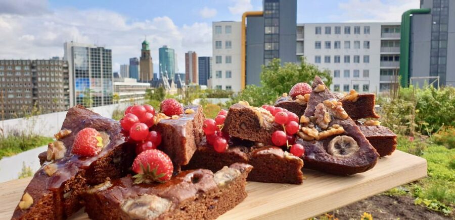 Rotterdam: Food Tour by Bike - Stops and Timing: How the Tour Feels From Start to Finish
