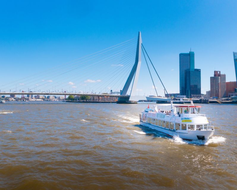 Rotterdam: Harbor Cruise with Live Guide - Sint Jobshaven, Waalhaven, and the Waalhaven feel for real shipping scale