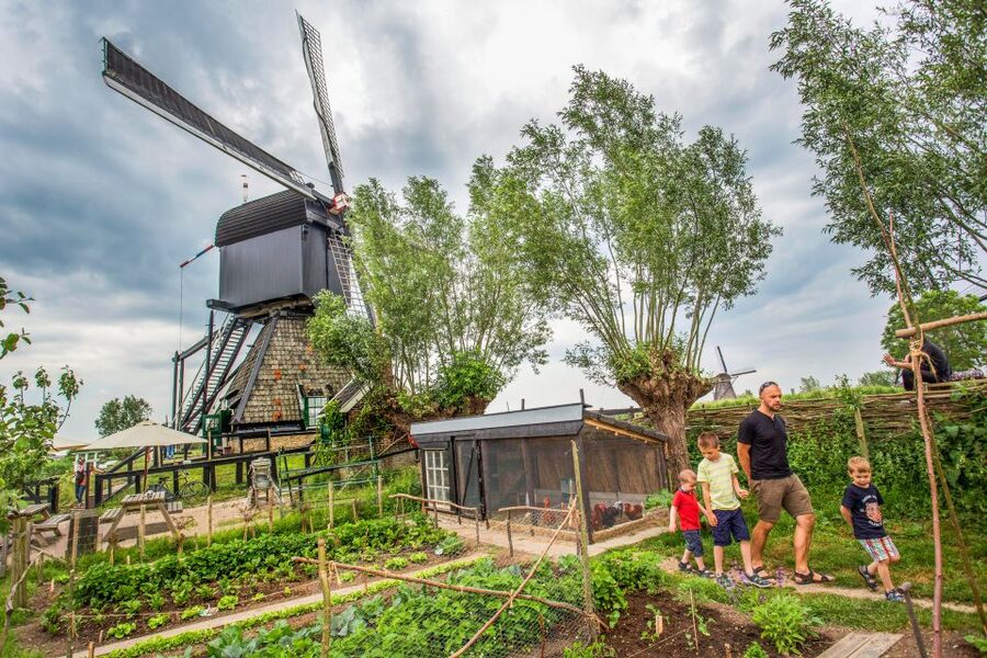 Rotterdam: Kinderdijk UNESCO World Heritage Entry Ticket - Why Kinderdijk’s UNESCO windmills feel more than just photos