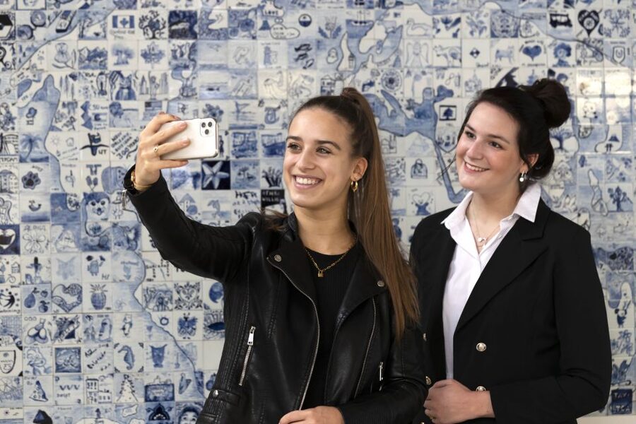 Royal Delft: Delftblue Factory and Museum - Shopping smart: Delftware is beautiful, and it costs
