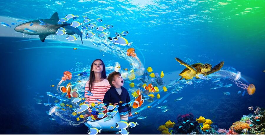 Scheveningen, The Hague: Sea Life Entry Ticket - Penguins and otter Max: what face-to-face time really feels like
