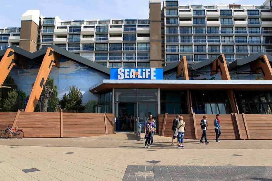 Scheveningen, The Hague: Sea Life Entry Ticket - Feeding sessions: your best strategy for seeing animals at their peak