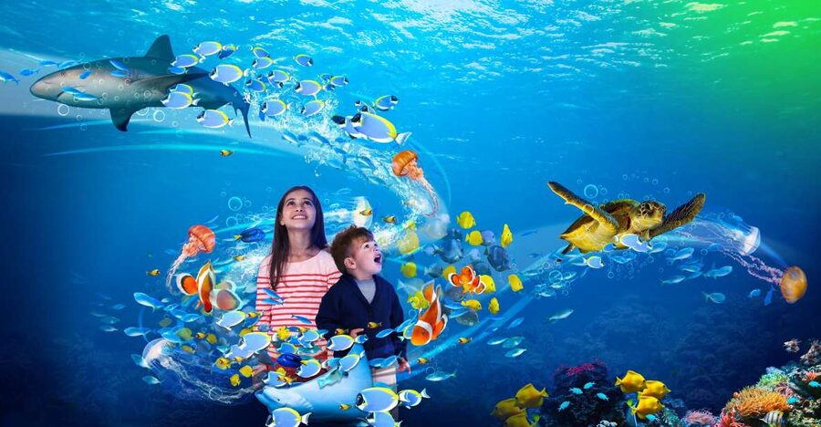 Scheveningen, The Hague: Sea Life Entry Ticket - Practical comfort tips: timing, crowds, and where you will slow down