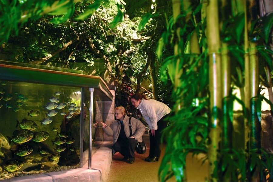 Scheveningen, The Hague: Sea Life Entry Ticket - From ticket to time slot: how to set yourself up for a smooth entry