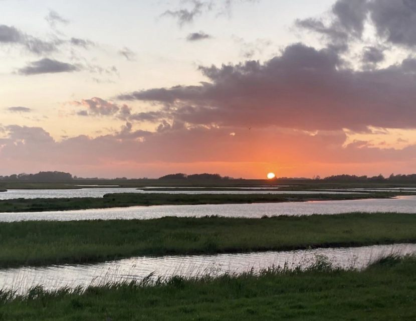 Small group full day island tour to Texel from Amsterdam - Morning in Amsterdam: the ride to De Cocksdorp region vibes