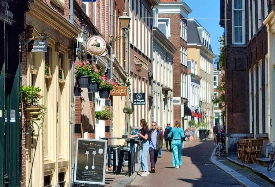 The Hague: City Walking Tour - Ending at Noordeinde Palace: What to Look For Next