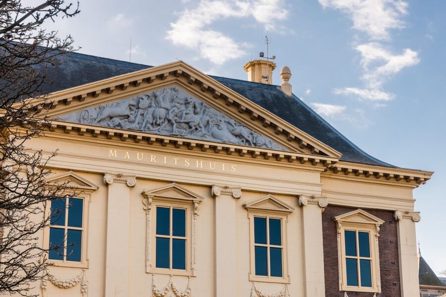 The Hague: Mauritshuis Entrance Ticket - The practical route: how to use your time slot and beat the bottleneck