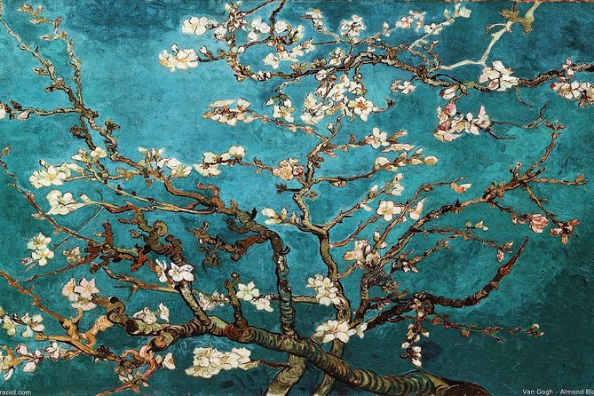 Van Gogh Museum Tour Reserved Entry Semi Private - Practical tips that make the museum visit easier